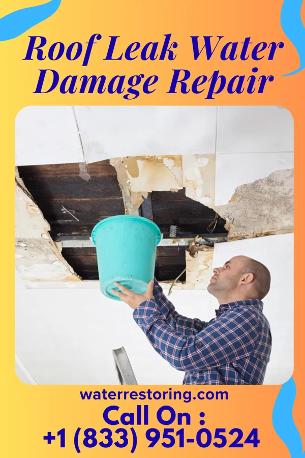 Roof Leak Water Damage Repair in Glendora, MS